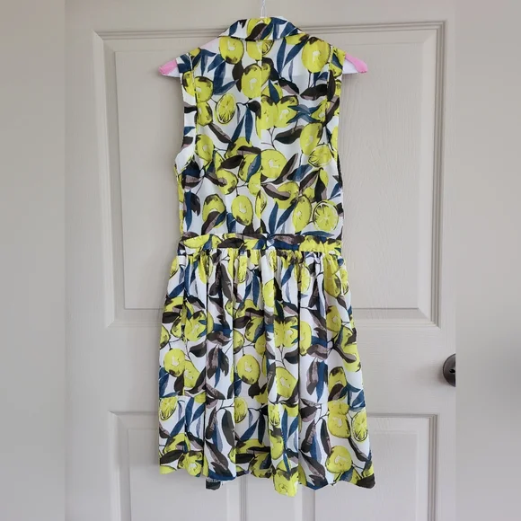 Elodie Cottagecore Lemon Sleeveless Mini Dress w/Buttons & Collar, Size Small - Picture 5 of 15